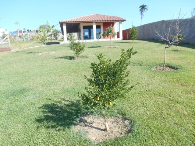 #257 - Chácara para Venda em Porangaba - SP - 3