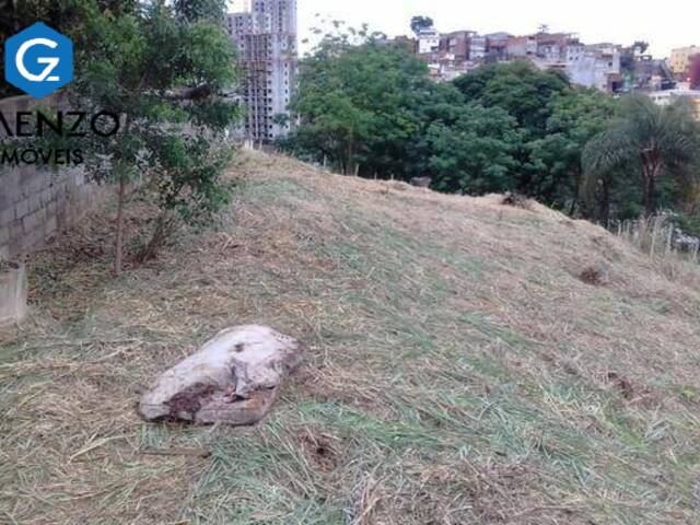 #704 - Área para Venda em São Paulo - SP - 2