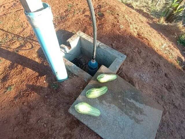 #1629 - Terreno em condomínio para Venda em Santana de Parnaíba - SP - 2