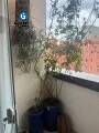 Apartamento à venda com 3 quartos, 72m² - Foto 17