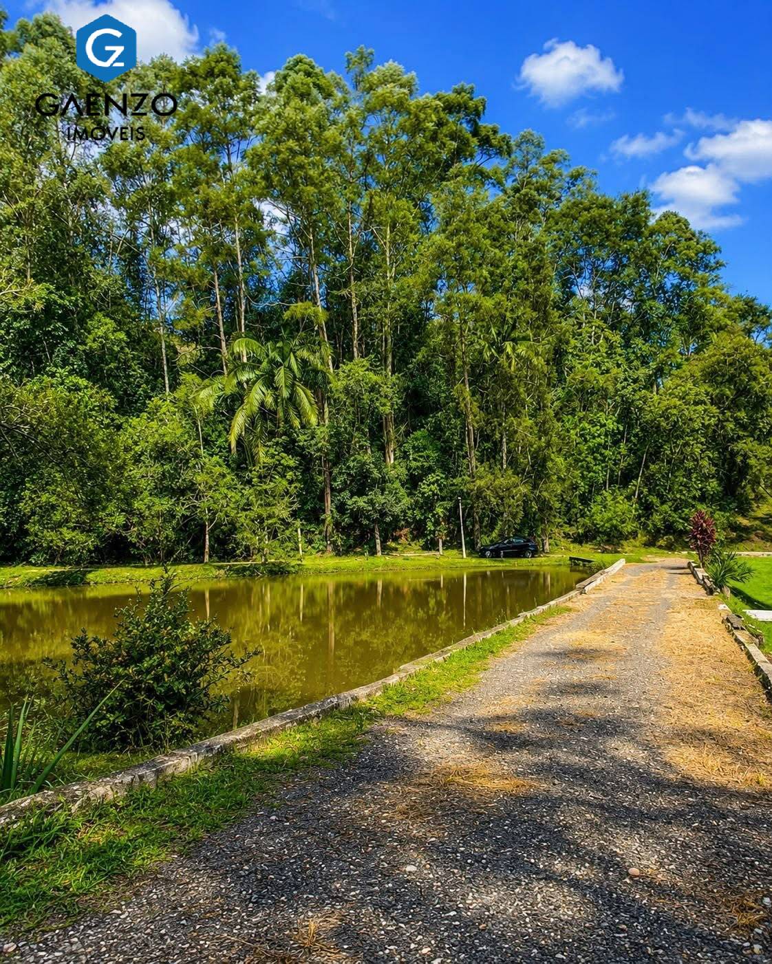 Fazenda, 14 hectares - Foto 3