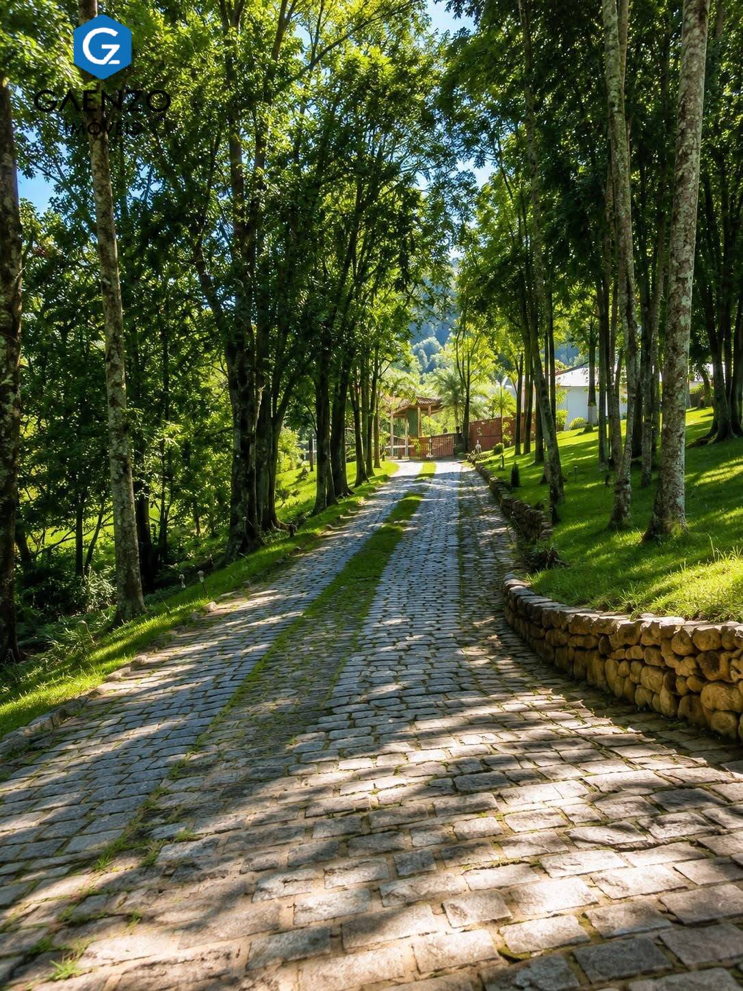 Fazenda, 14 hectares - Foto 12